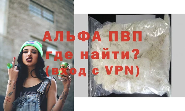 прущие грибы Абаза