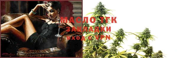 дживик Снежногорск