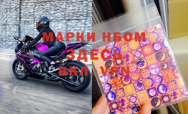 прущие грибы Абаза