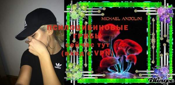 mix Снежинск