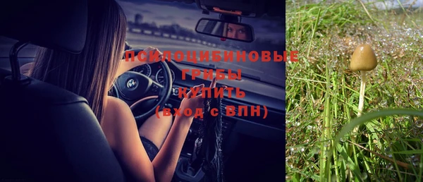 mix Снежинск