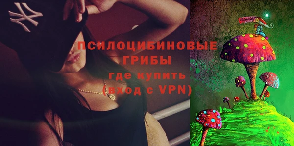 прущие грибы Абаза