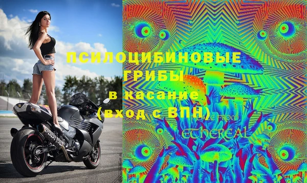 твердый Слюдянка