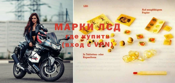прущие грибы Абаза