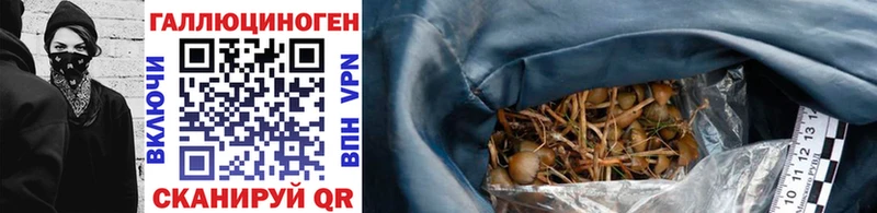 блэк спрут зеркало  Ялуторовск  Галлюциногенные грибы Psilocybe 